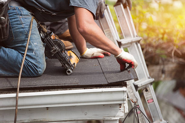 Best Roof Gutter Cleaning  in Alto, TX